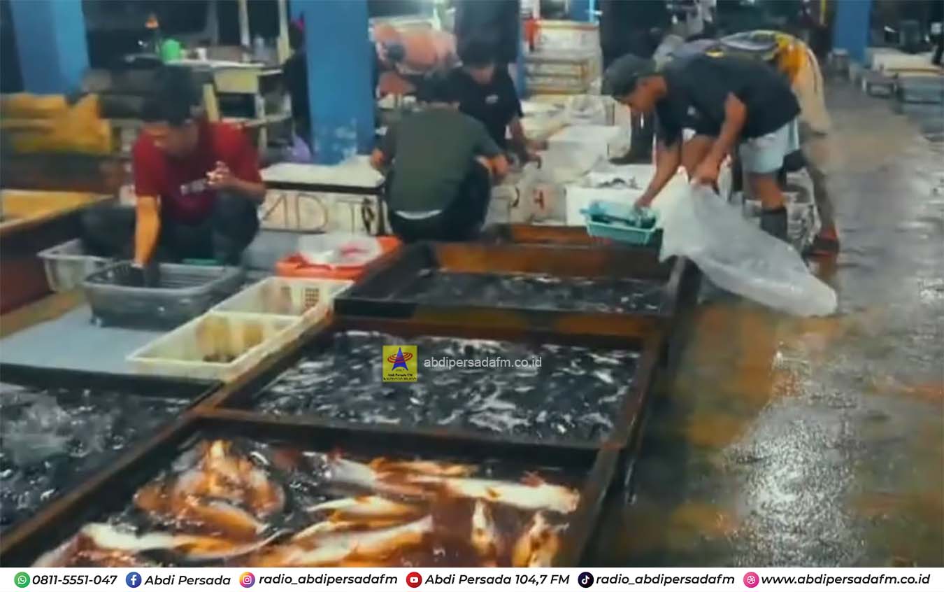 Musim Barat di Laut, Pasokan Ikan di Pelabuhan Perikanan Batulicin Menurun