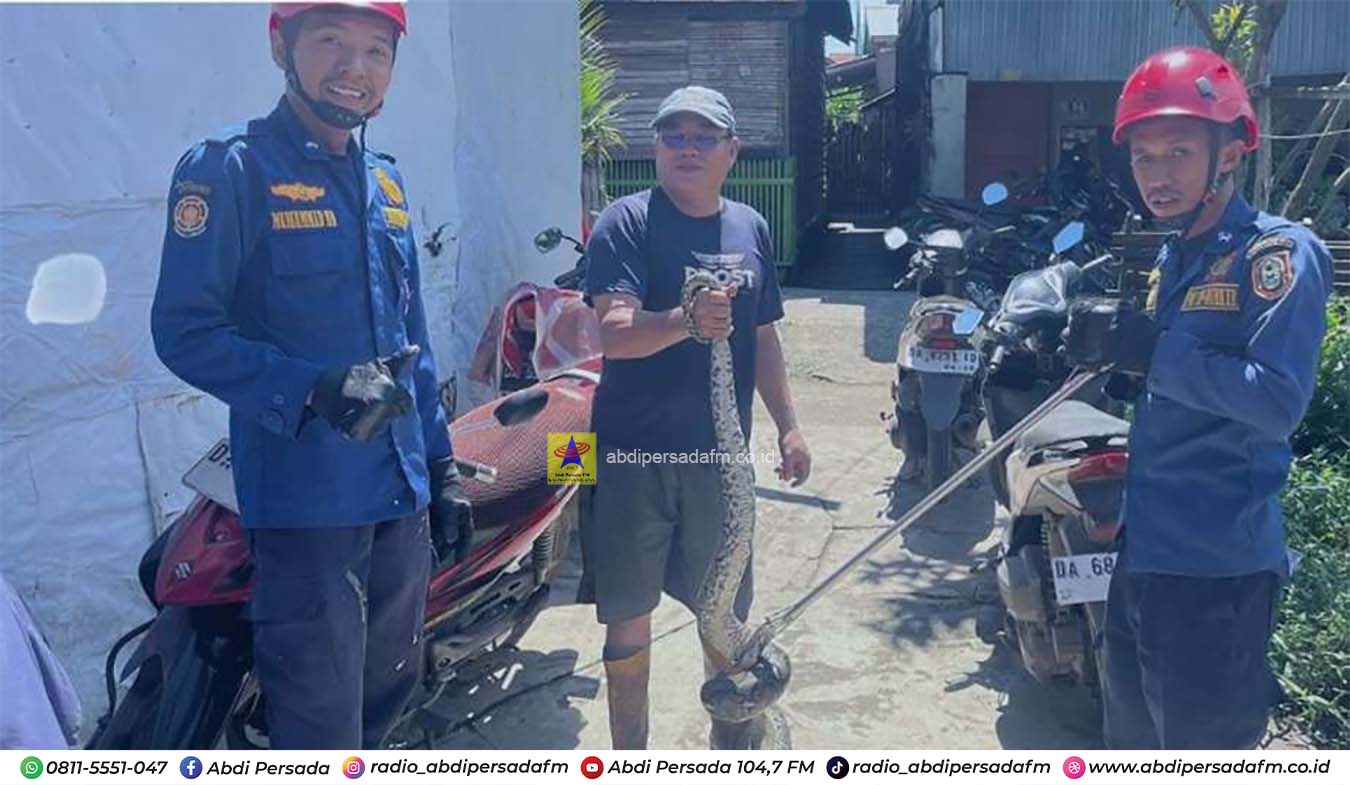 WFH Dikecualikan, Satpol PP dan Damkar Kalsel Tetap Siaga Layani Masyarakat