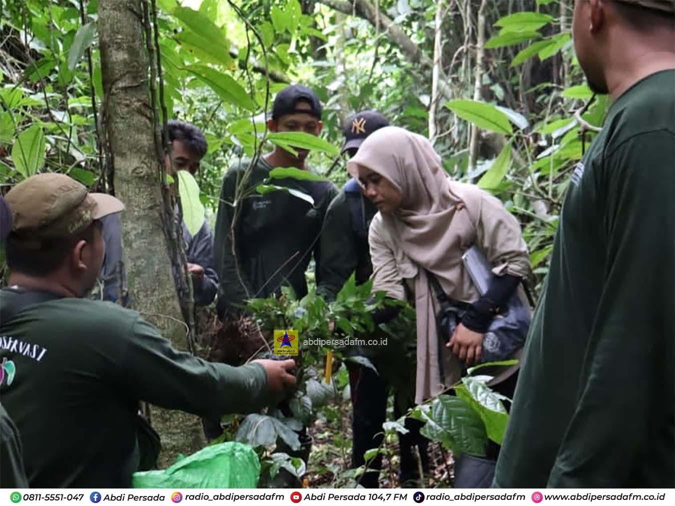 Eksplorasi di Tanah Bumbu, UPTD Kebun Raya Banua Temukan Puluhan Spesialis Endemik